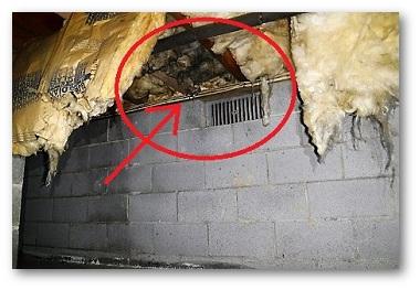 Maryland Crawl Space Encapsulation